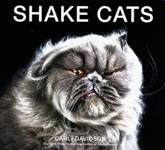 Cover art for Shake Cats