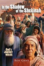 Cover art for In the Shadow of the Shekinah: God's Journey with Us