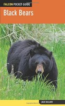 Cover art for Black Bears (Falcon Pocket Guides)