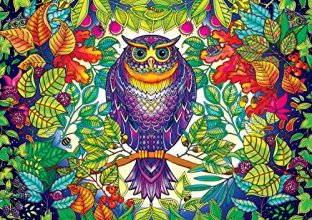 Cover art for Buffalo Games - Johanna Basford's Secret Garden - Forest Owl - 500 Piece Jigsaw Puzzle