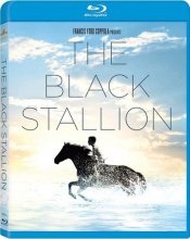 Cover art for The Black Stallion [Blu-ray]