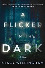 Cover art for A Flicker in the Dark: A Novel
