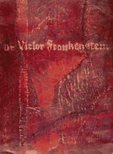 Cover art for Diary of Victor Frankenstein