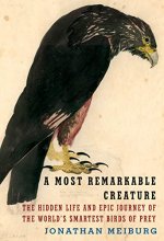 Cover art for A Most Remarkable Creature: The Hidden Life and Epic Journey of the World's Smartest Birds of Prey