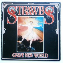 Cover art for Grave New World Vinyl AM Records Vinyl