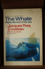 Cover art for The Whale: Mighty Monarch of the Sea