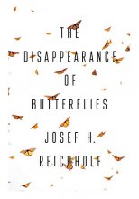 Cover art for The Disappearance of Butterflies