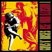 Cover art for Use Your Illusion I [Vinyl]
