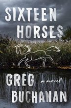 Cover art for Sixteen Horses: A Novel