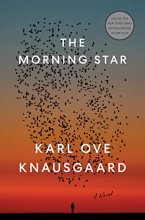 Cover art for The Morning Star: A Novel