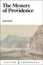Cover art for The Mystery of Providence