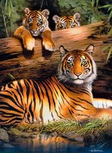 Cover art for Buffalo Games - Hautman Brothers - Quiet Fire - 1000 Piece Jigsaw Puzzle