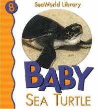 Cover art for Baby Sea Turtle San Diego Zoo (Seaworld Library)