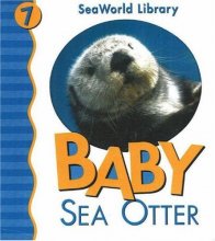 Cover art for Baby Sea Otter (Seaworld Library)