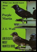 Cover art for What You Should Know About the Purple Martin: American's Most Wanted Bird 