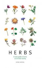 Cover art for Herbs: A color guide to herbs and herbal healing