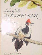 Cover art for Life of the Woodpecker
