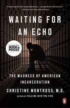 Cover art for Waiting for an Echo: The Madness of American Incarceration