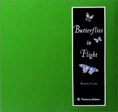 Cover art for Butterflies in Flight