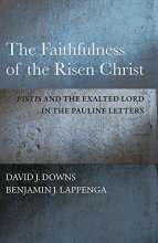 Cover art for The Faithfulness of the Risen Christ: Pistis and the Exalted Lord in the Pauline Letters