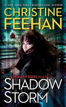 Cover art for Shadow Storm (Series Starter, Shadow Riders #6)