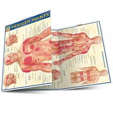 Cover art for Trigger Points (Quick Study Academic)