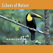 Cover art for Echoes of Nature: Rainforest