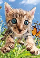 Cover art for Buffalo Games - Pounce! - 500 Piece Jigsaw Puzzle Multicolor, 21.25"L X 15"W