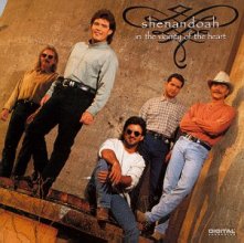 Cover art for In the Vicinity of the Heart by Shenandoah (CD)