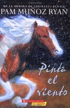 Cover art for Pinta el viento (Paint the Wind) (Spanish Edition)