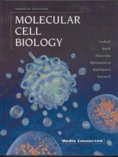 Cover art for Molecular Cell Biology