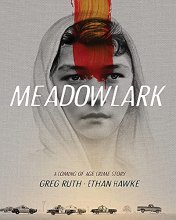 Cover art for Meadowlark: A Coming-of-Age Crime Story