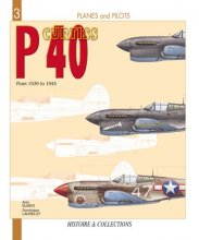 Cover art for The Curtiss P-40: From 1939 to 1945 (Planes and Pilots, 3)