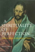 Cover art for A Spirituality of Perfection (Michael Glazier Books)