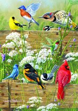 Cover art for Buffalo Games - Hautman Brothers - Songbird Menagerie - 300 LARGE Piece Jigsaw Puzzle, 21-1/4inx15in , Green