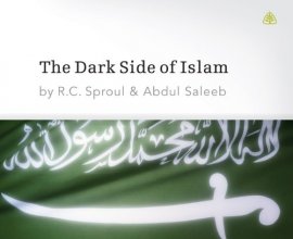 Cover art for The Dark Side of Islam