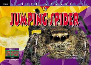 Cover art for Jumping Spider (Life Cycles)