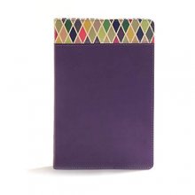 Cover art for CSB Rainbow Study Bible, Purple Leather Touch