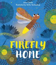 Cover art for Firefly Home