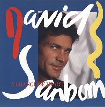 Cover art for David Sanborn - A Change Of Heart - Warner Bros. Records - 925 479-1