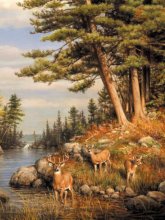 Cover art for Buffalo Games Hautman Brothers, Deer & Pines - 1000pc Jigsaw Puzzle