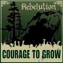 Cover art for Courage to Grow