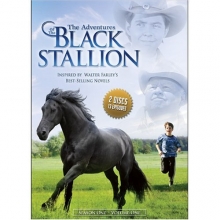 Cover art for The Adventures of the Black Stallion. Season One, Volume One.
