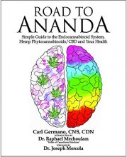 Cover art for ROAD TO ANANDA