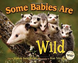 Cover art for Some Babies Are Wild (Wildlife Picture Books)