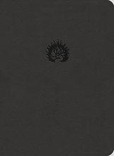 Cover art for Reformation Study Bible (2015) ESV, Leather-Like Charcoal