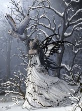 Cover art for Andrews + Blaine Ltd Queen of Owls - 1,000 Pc Puzzle