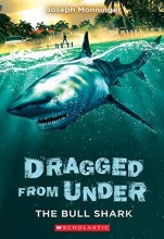 Cover art for The Bull Shark (Dragged from Under #1) (1)