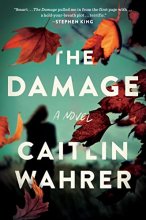 Cover art for The Damage: A Novel
