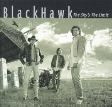 Cover art for Sky's the Limit